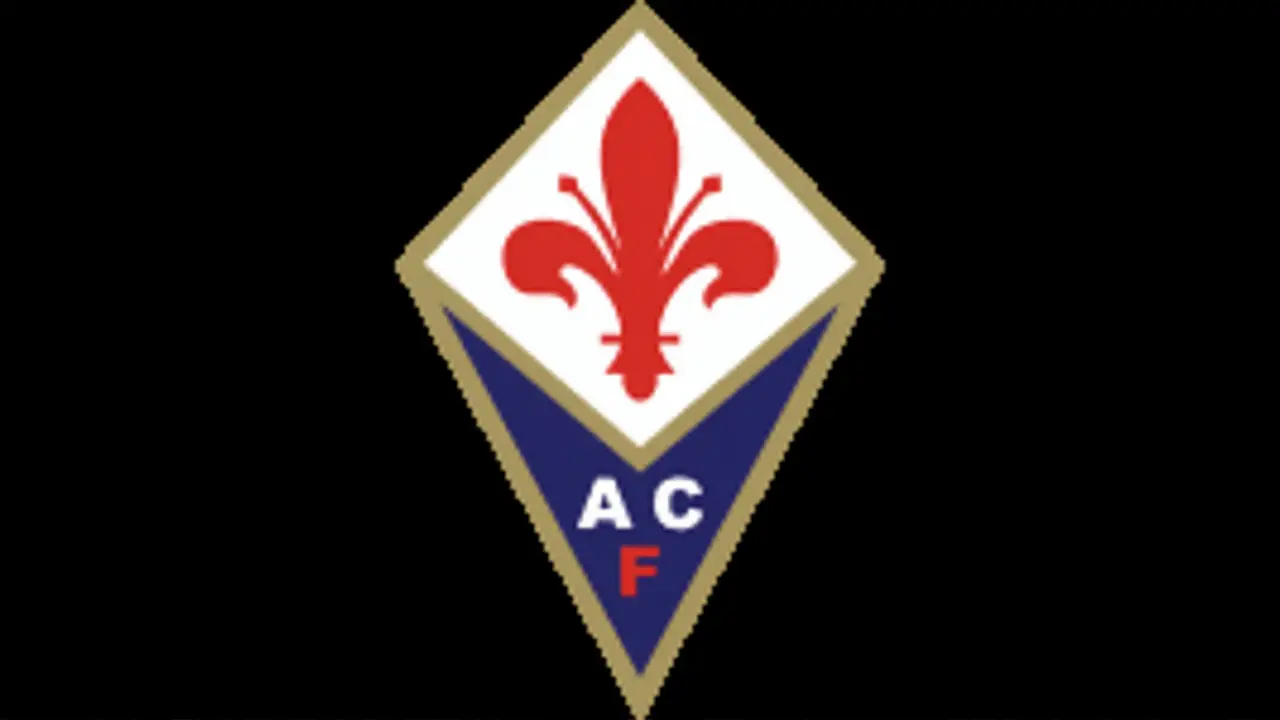 O que esperar para as próximas etapas